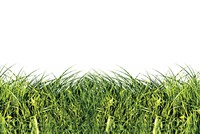 “Xanh” phải từ nhận thức đến hành động