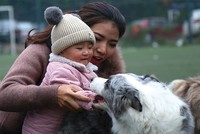 Năm Tuất nói chuyện thế giới chó cưng