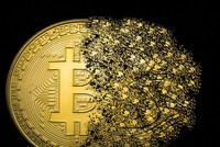 Mặt sau của đồng tiền kỹ thuật số