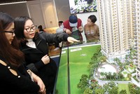 Các thị trường liên quan chặt chẽ đến tín dụng như địa ốc, chứng khoán năm qua đều tăng trưởng tốt