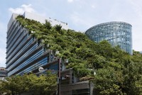 Vườn trên cao xu hướng được ưa chuộng