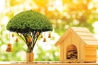 Làm sao để tránh mất tiền trên sàn chứng khoán?