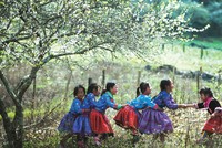 Những mùa xuân đến trong đời