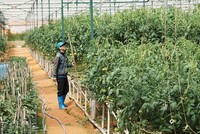 Tín dụng vào các lĩnh vực ưu tiên vẫn có điều kiện để tăng trưởng cao