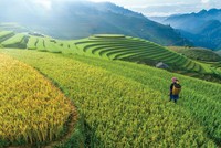 Chính sách tín dụng ưu tiên “phủ sóng” địa bàn nông thôn, miền núi