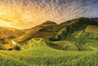 Agribank cần được hỗ trợ để tiếp tục giữ vị trí trụ cột cung cấp tín dụng cho nông nghiệp, nông dân