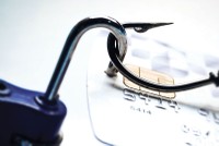 Chuyện những vụ “thụt két” trăm tỷ