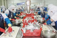 Quý I, NGC lãi sau thuế hơn... 530 triệu đồng, tăng 47,7% cùng kỳ