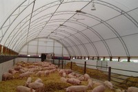 Tiêu thụ lợn thuận lợi, quý I/2016, VLC lãi sau thuế hơn 47 tỷ đồng, tăng 57,6%