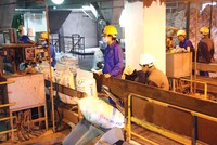 6 tháng, DDV báo lỗ hơn 200 tỷ đồng