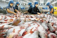 Ngày 23/12, Seaprodex chào sàn UPCoM