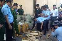 Buôn lậu động vật hoang dã luôn là vấn đề nhức nhối thời gian qua