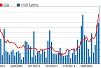 Diễn biến giao dịch cổ phiếu HAG 3 tháng qua (Nguồn: HOSE)