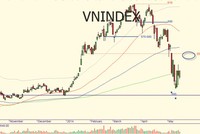 Nhìn nhà đầu tư chuyên nghiệp để hành động