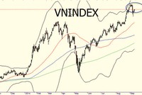 Bám theo “tay to”