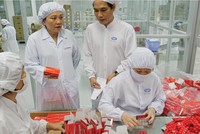 Dược phẩm là một trong những ngành được đánh
giá có triển vọng trong những tháng cuối năm - Ảnh: Hoài Nam