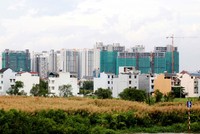 Thị trường bất động sản TP. HCM thời gian qua chứng kiến hàng loạt đợt bung hàng của các chủ đầu tư - Ảnh: Lê Toàn