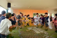 Mở bán Dự án The Viva City