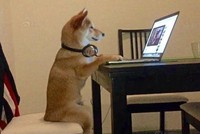 Tư thế nghiêm túc có lẽ nhiều người còn phải thua xa. (Nguồn: CCTV News)