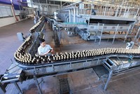 Bia Hà Nội, dang dở một tầm nhìn thương hiệu (kỳ 2) 