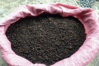 Thu hàng trăm triệu từ nuôi dơi lấy phân