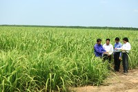 SBT hiện thực hóa ước mơ Đông Dương