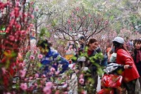 Bộ Nội vụ chọn phương án nghỉ Tết 7 ngày