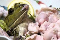 Những món ăn tàn nhẫn nhất thế giới