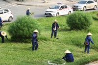Chi phí cắt cỏ tại Hà Nội được dư luận quan tâm sau thông tin cắt cỏ24 km đại lộ Thăng Long hết 53 tỷ đồng. Ảnh minh họa: Võ Hải.