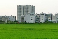 Thủ tướng đồng ý cho Hà Nội chuyển đổi 61,8 ha đất trồng lúa sang đất phi nông nghiệp