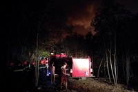 Đường vào rừng tràm. Ảnh:Phước Tuấn.