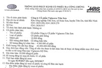 CTCP Viglacera Tiên Sơn thông báo phát hành cổ phiếu ra công chúng