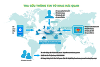 Sơ đồ tra cứu thông tin Công thông tin tờ khai điện tử.