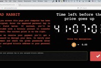 Một máy tính bị nhiễm mã độc Bad Rabbit. Ảnh: Reuters