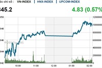 Phiên chiều 30/10: ROS lại thăng hoa, VN-Index tăng bất chấp sắc đỏ tràn ngập