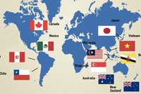 CPTPP và TPP khác nhau thế nào