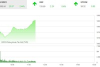Phiên sáng 21/2: Rực rỡ sắc xuân