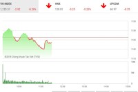 Phiên sáng 13/3: Nhiều cổ phiếu nhỏ nổi sóng, VN-Index vẫn trượt dốc