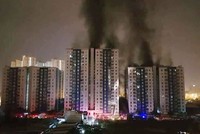 TP.HCM: Cháy chung cư cao cấp Carina Plaza, 13 người tử vong