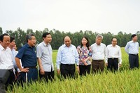Thủ tướng đối thoại với nông dân