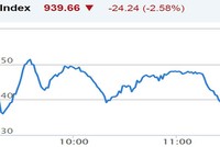 Phiên sáng 28/5: Thị trường lại rơi mạnh