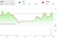 Phiên chiều 15/6: Thoát hiểm