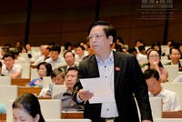 Đại biểu Quốc hội Nguyễn Trường Giang.