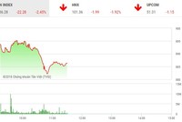 Phiên sáng 25/12: Nhà đầu tư ồ ạt xả hàng, VN-Index mất hơn 22 điểm