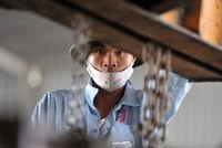 Ảnh minh họa: Internet