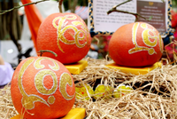 Bưởi đỏ được bán ở dịp Tết năm ngoái.