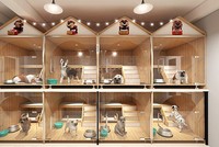 Khách sạn cho thú cưng của một cửa hàng tại Hà Nội. Ảnh:NVCC