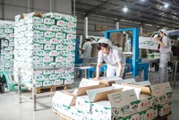 Sự kiện Vinamilk chào mua công khai cổ phiếu của GTNFoods - đơn vị sở hữu thương hiệu sữa Mộc Châu - đang được rất nhiều nhà đầu tư quan tâm.