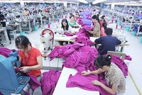 Nhiều lao động nữ ngành dệt may muốn nghỉ hưu sớm. Ảnh: Ngọc Thành.