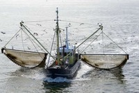 Tàu cá nước ngoài hoạt động trong vùng biển Việt Nam không có giấy phép hoặc giấy phép hết hạn sẽ bị phạt tiền lên tới 1 tỷ đồng (Ảnh minh họa)